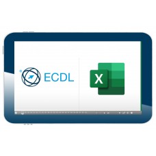 Excel Advanced (web course)
